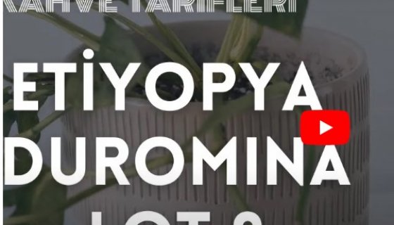 Etiyopya Duromina Lot 9 - V60 Demleme Reçetesi